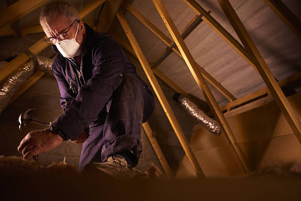 Best Insulation Maintenance and Repair in Franklin, CA
