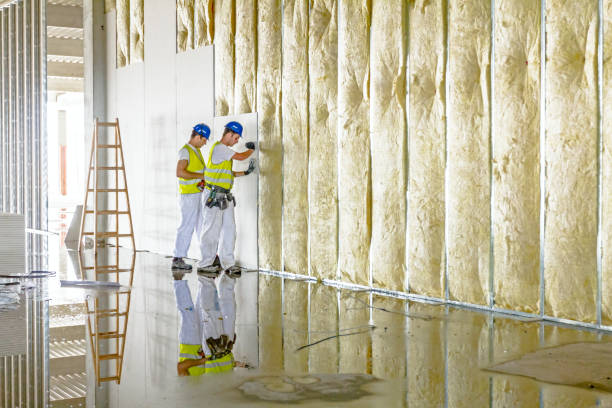 Best Insulation for Specific Applications in Franklin, CA